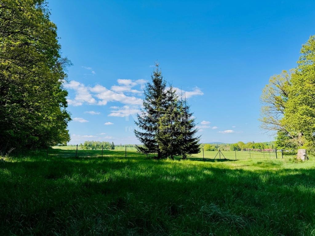 Prodej pozemku 3103 m2, Tři Sekery – náhled fotky 16
