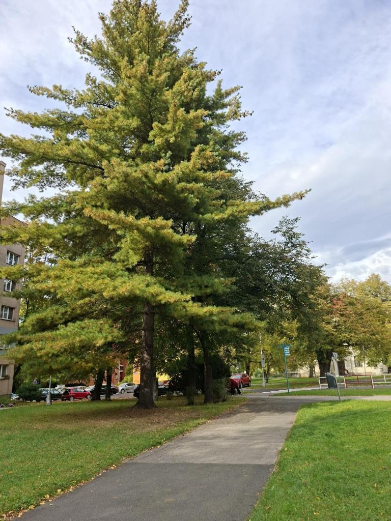 Prodej bytu 2+1 54 m2, Kopřivnice – náhled fotky 14