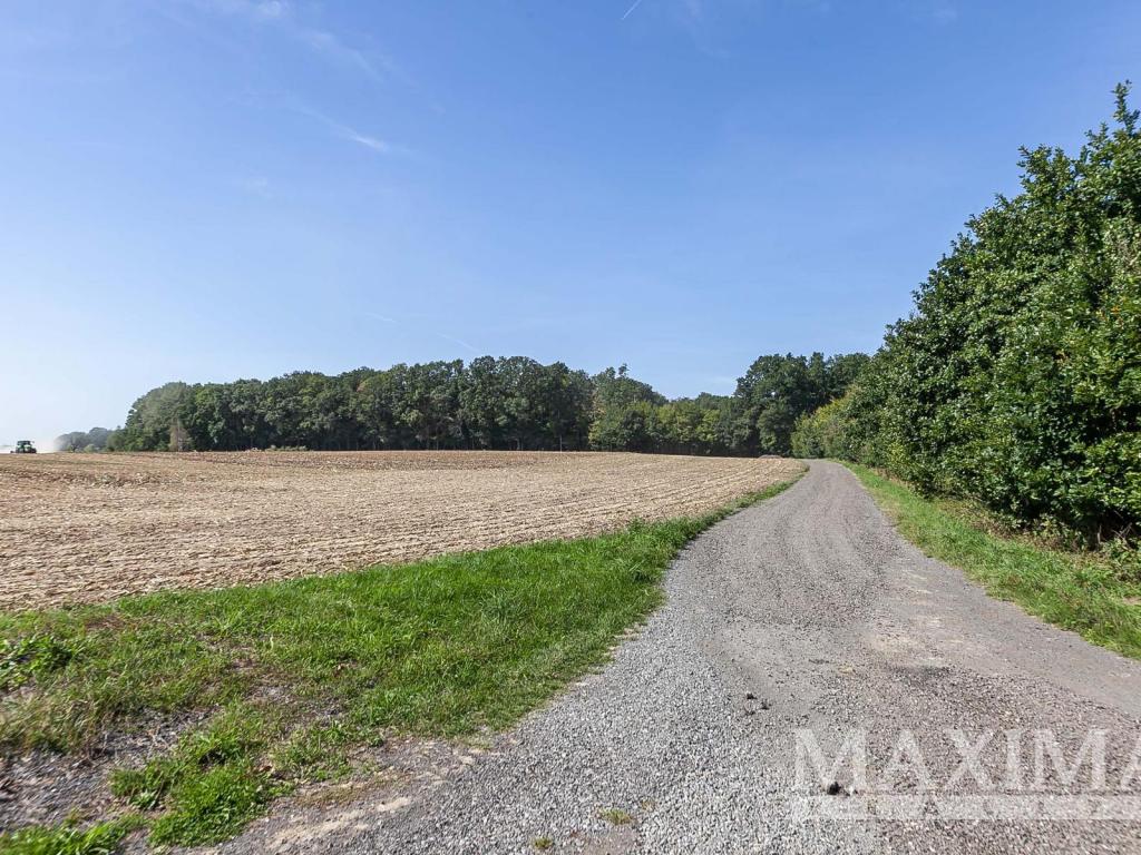 Prodej pozemku 3636 m2, Lhotky – náhled fotky 15