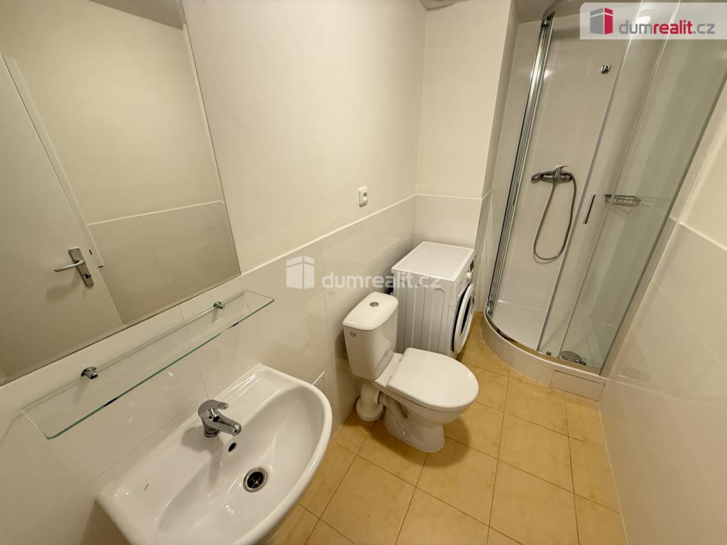 Pronájem bytu 1+kk 48 m² – pohled 6