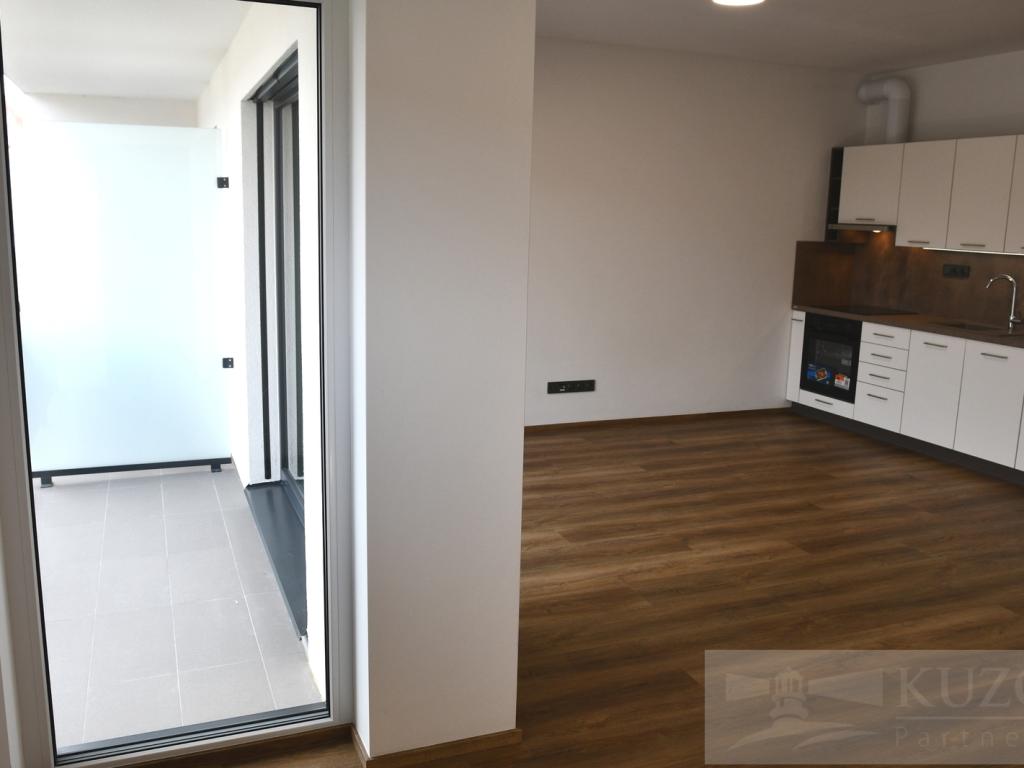 Pronájem bytu 1+kk 43 m2
