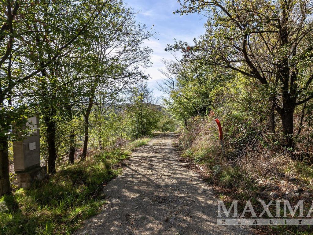 Prodej pozemku 7462 m2, Solenice – náhled fotky 12