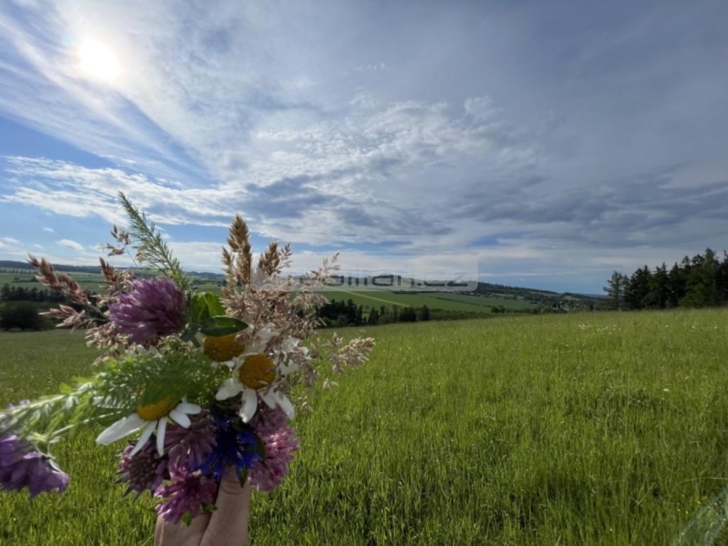 Prodej pozemku 1185 m2, Blovice – náhled fotky 20
