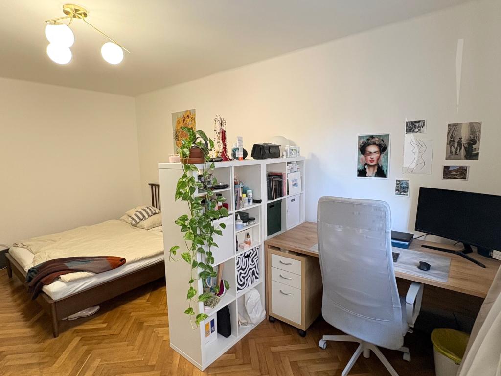 Pronájem bytu 1+1 43 m2