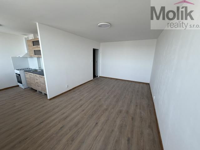 Pronájem bytu 1+kk 36 m2