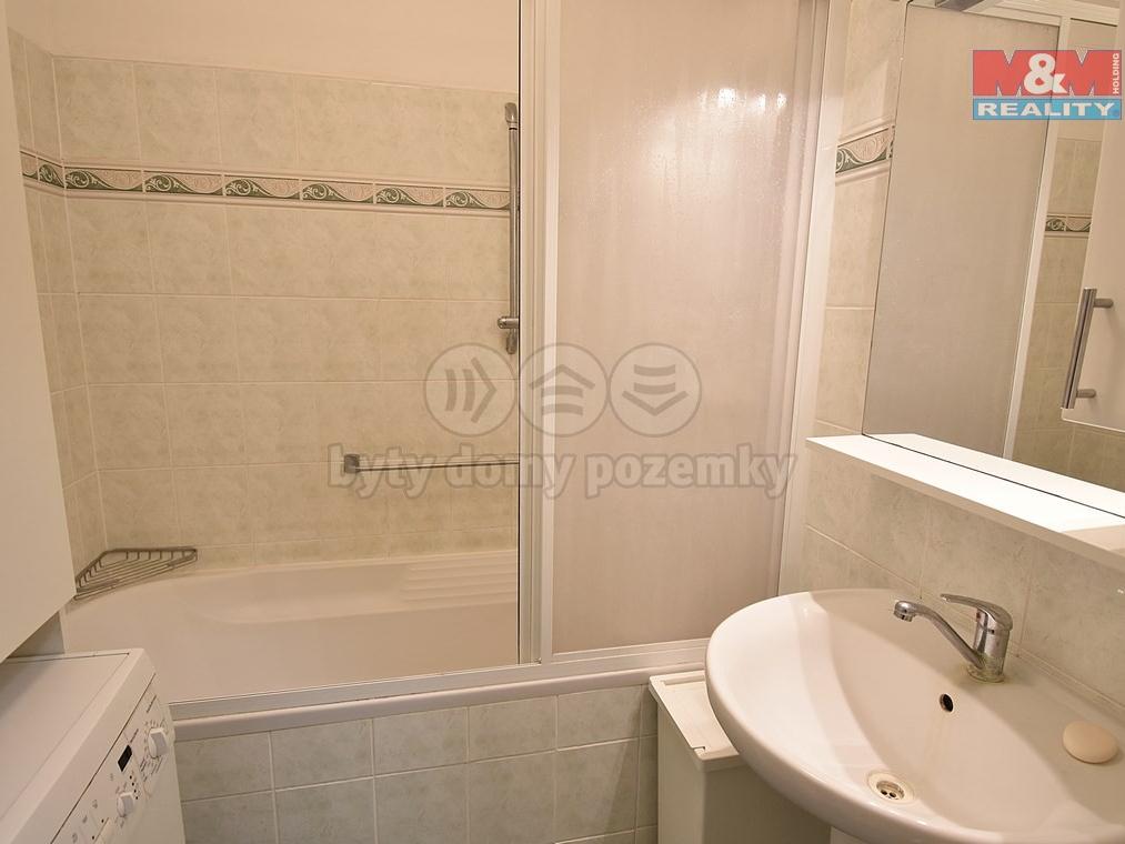 Pronajem bytu atypicky 47 m2