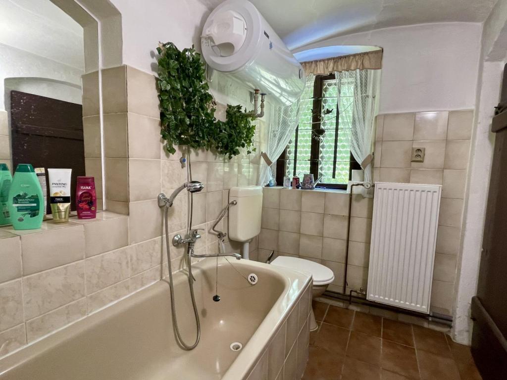 Prodej domu 200 m2, Vilémov – náhled fotky 14