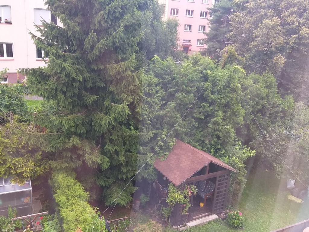 Pronájem bytu 1+kk 16 m2, Praha – náhled fotky 7