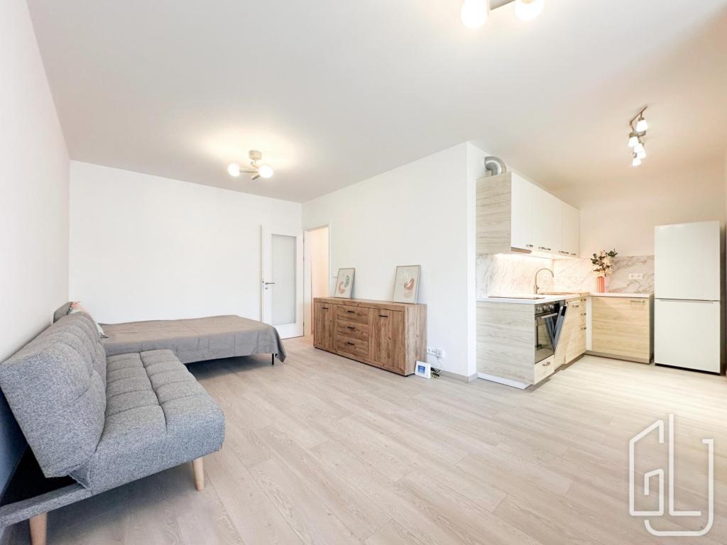 Pronájem bytu 1+kk 39 m2