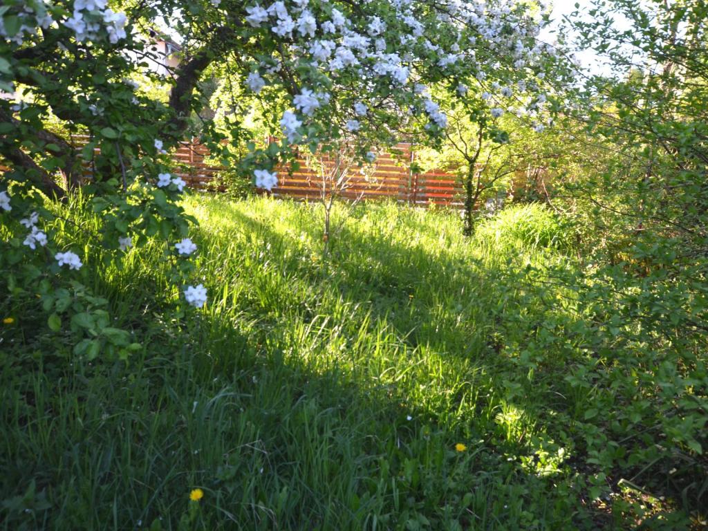 Prodej domu 107 m2, Štětí – náhled fotky 8