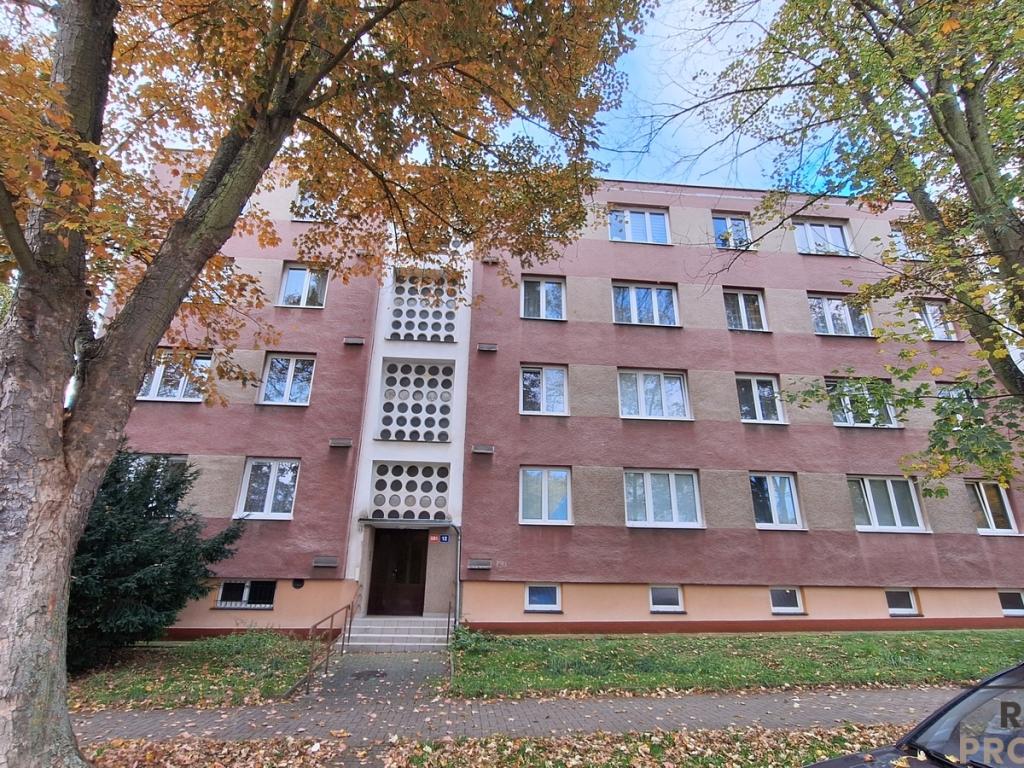 Pronájem 2+1, Ústí nad Labem - Školní, 13000 Kč,