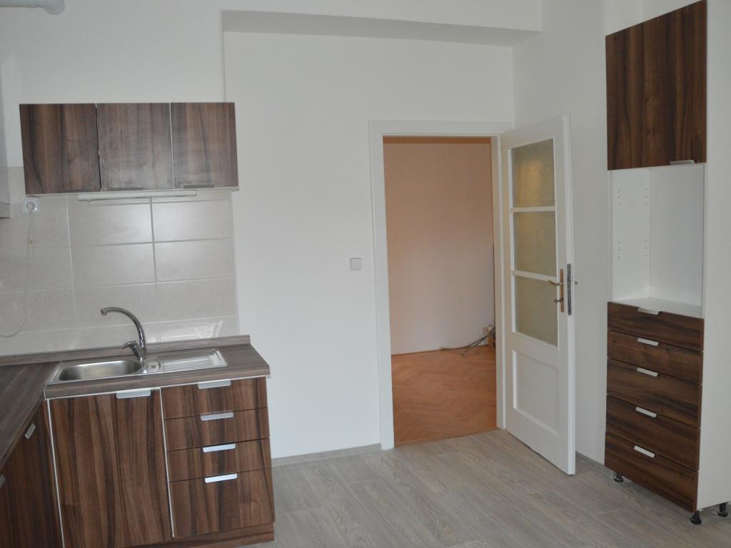 Pronajem bytu 2+1 60 m2