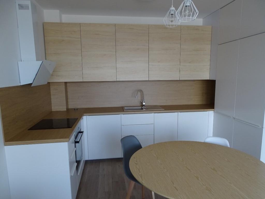 Pronájem bytu 1+1 46 m² - Widok 2