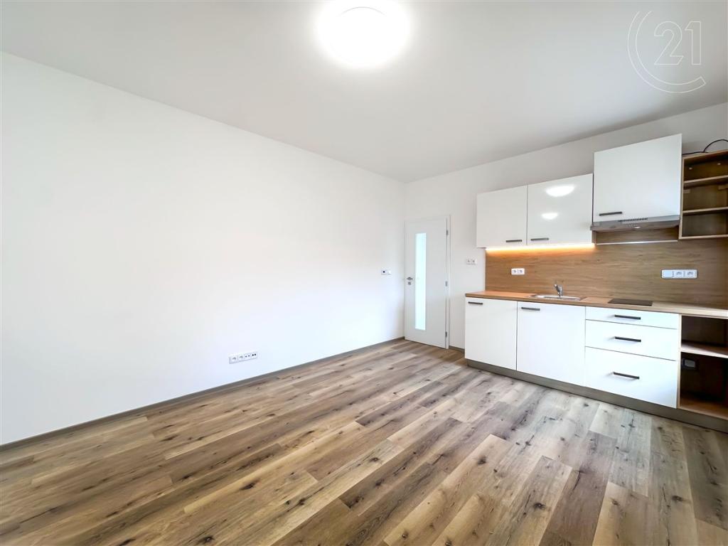 Pronájem bytu 1+kk 45 m2