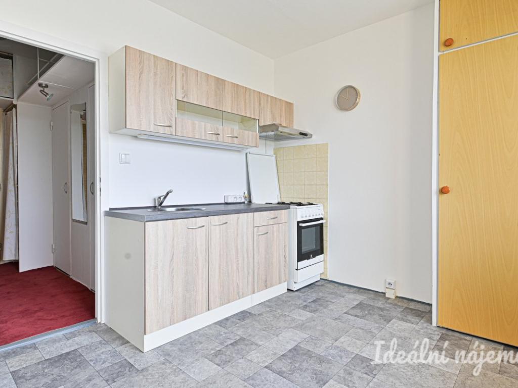 Pronájem bytu 1+1 40 m2
