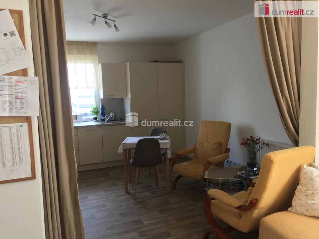 Pronájem bytu 1+kk 33 m2