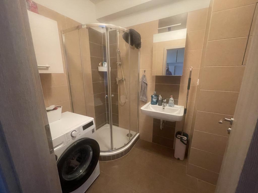 Pronájem bytu 1+kk 30 m2