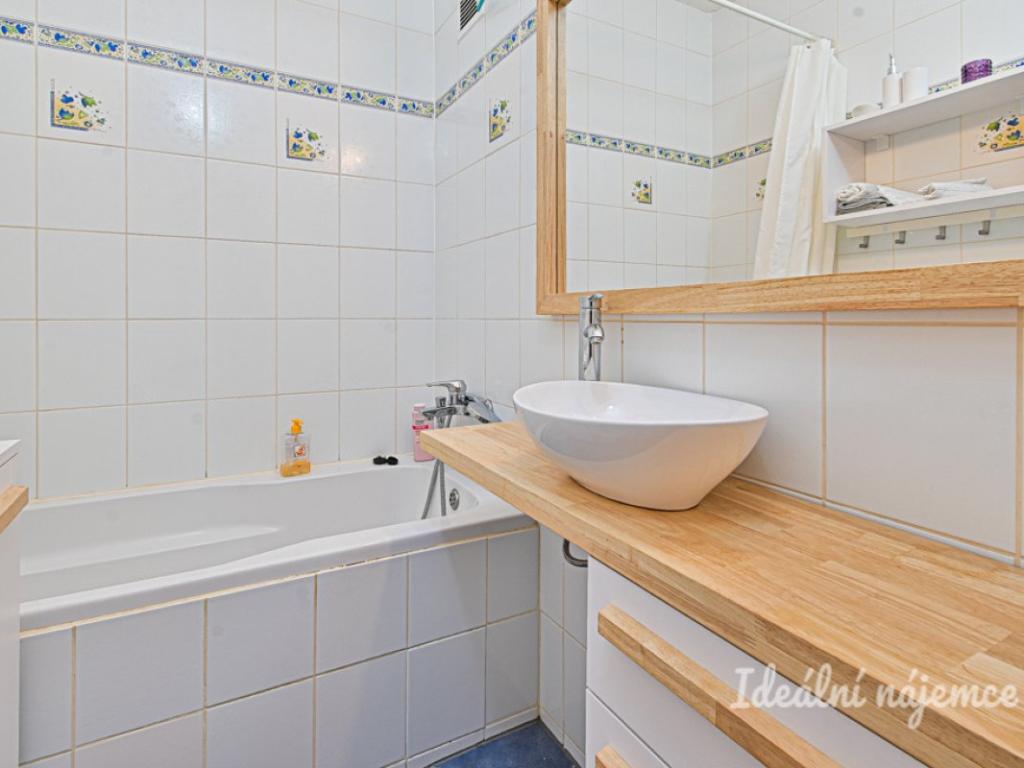 Pronájem bytu 1+1 45 m2