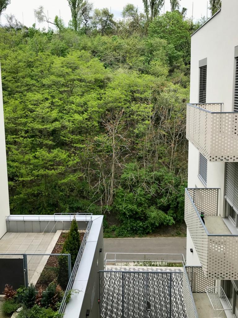 Pronájem bytu 2+kk 61 m2, Praha – náhled fotky 8