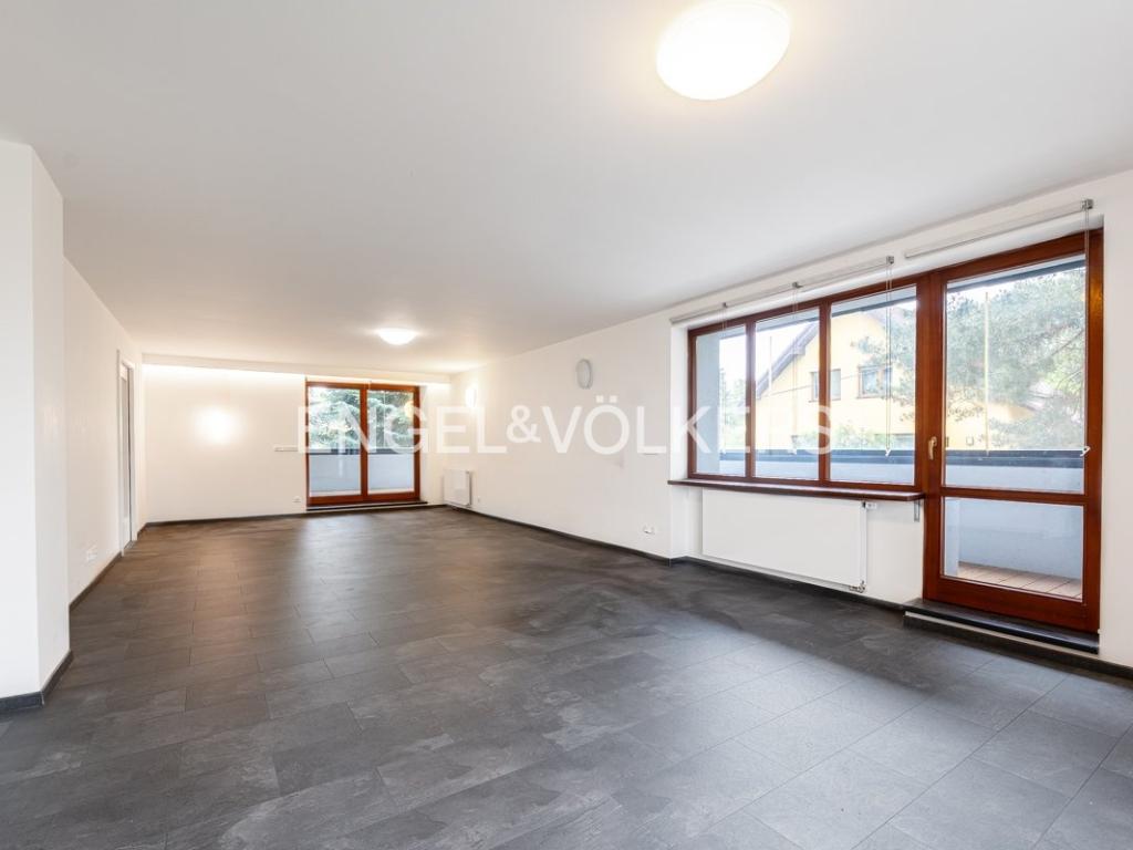 Pronájem domu 320 m² – pohled 4