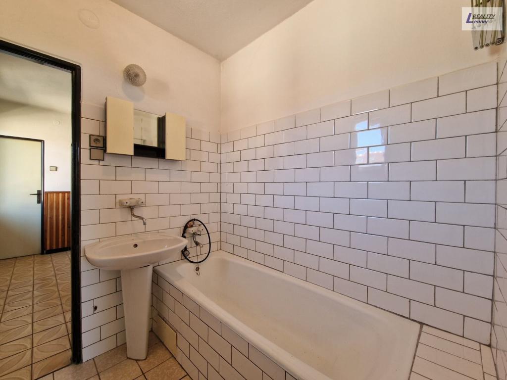 Prodej domu 300 m2, Hostomice – náhled fotky 19