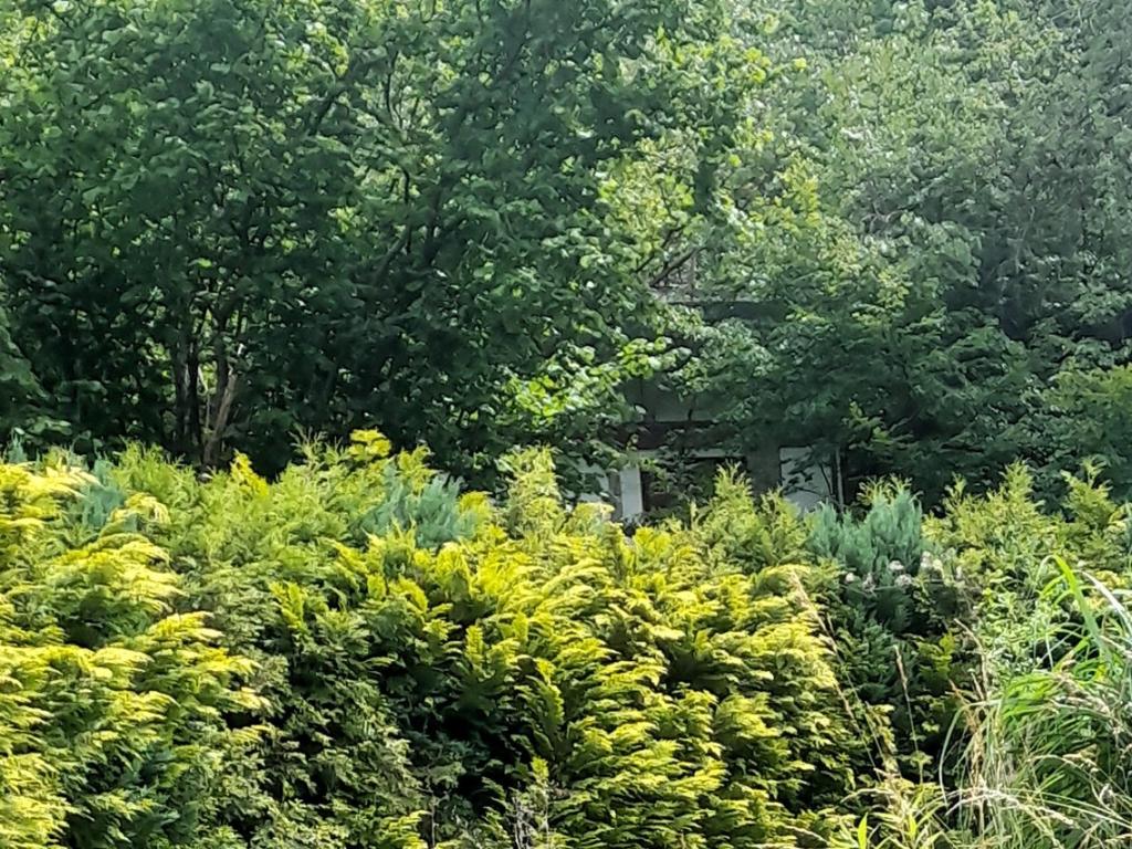 Prodej domu 56 m2, Všenory – náhled fotky 26