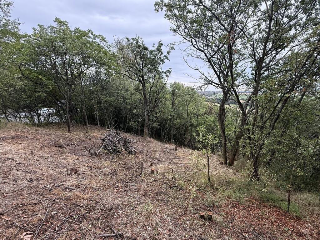 Prodej pozemku 464 m2, Brandýsek – náhled fotky 6