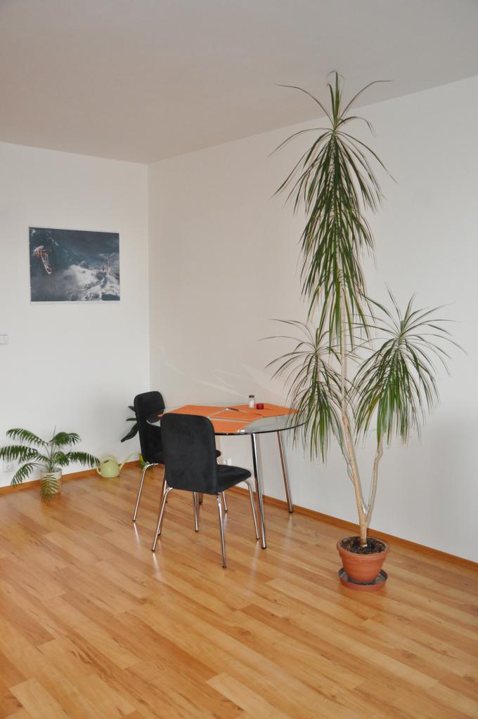 Pronajem bytu 2+kk 60 m2