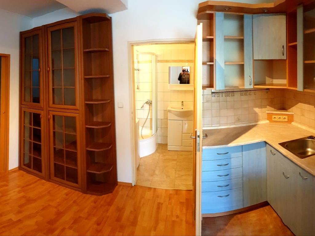 Pronajem bytu 1+kk 30 m2