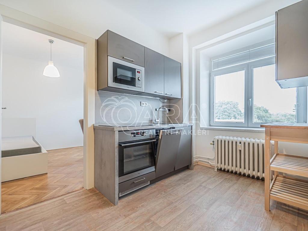 Pronájem bytu 1+1 38 m2