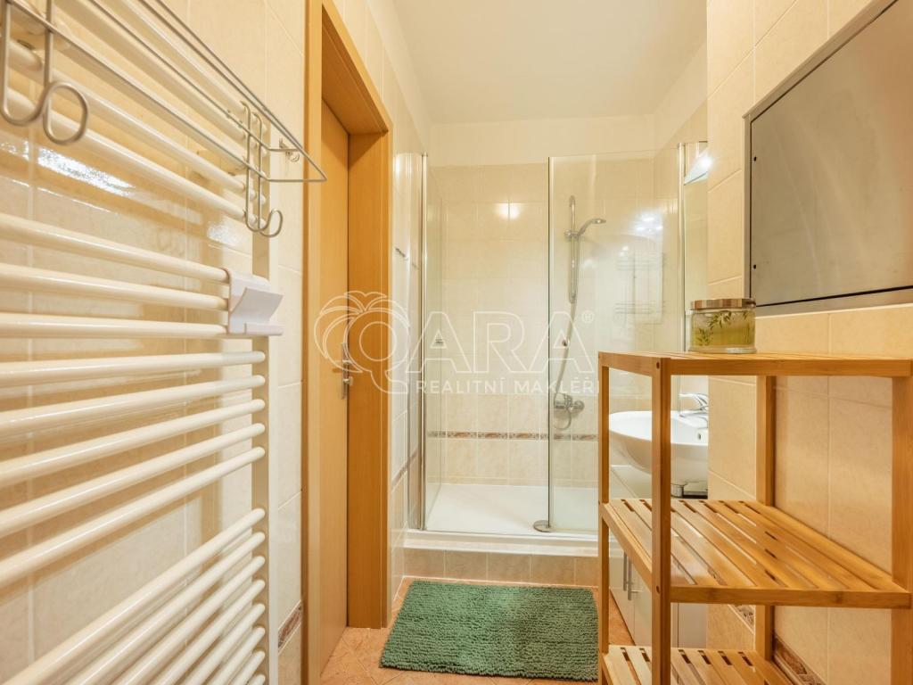 Pronájem bytu 1+kk 38 m2, Praha – náhled fotky 5