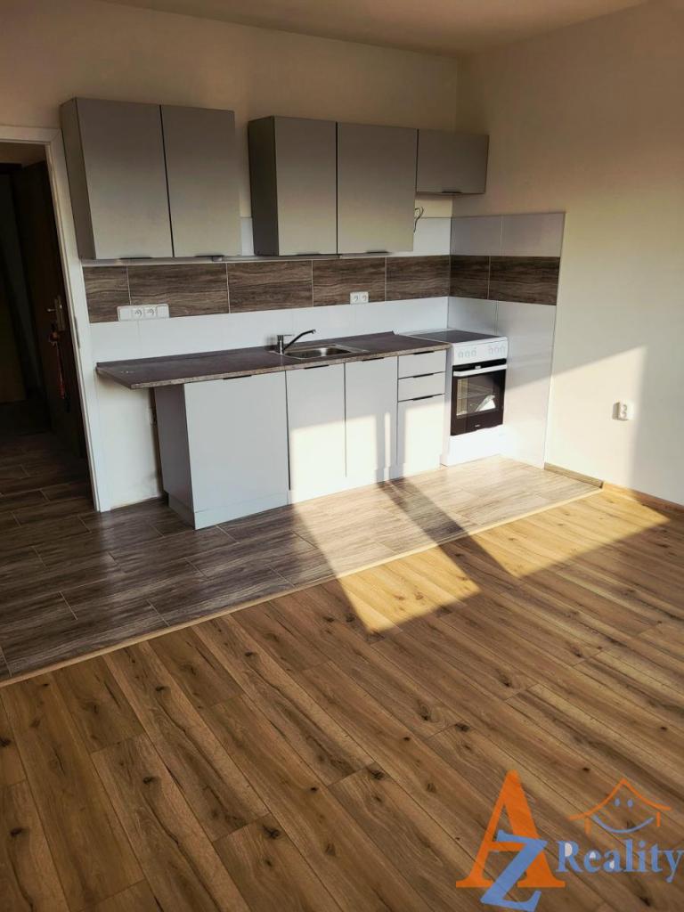 Pronájem bytu 1+1 40 m2