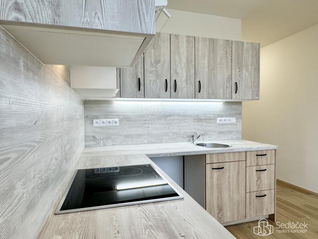 Pronájem bytu 1+1 40 m2