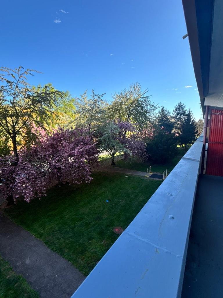 Pronájem bytu 1+kk 39 m2