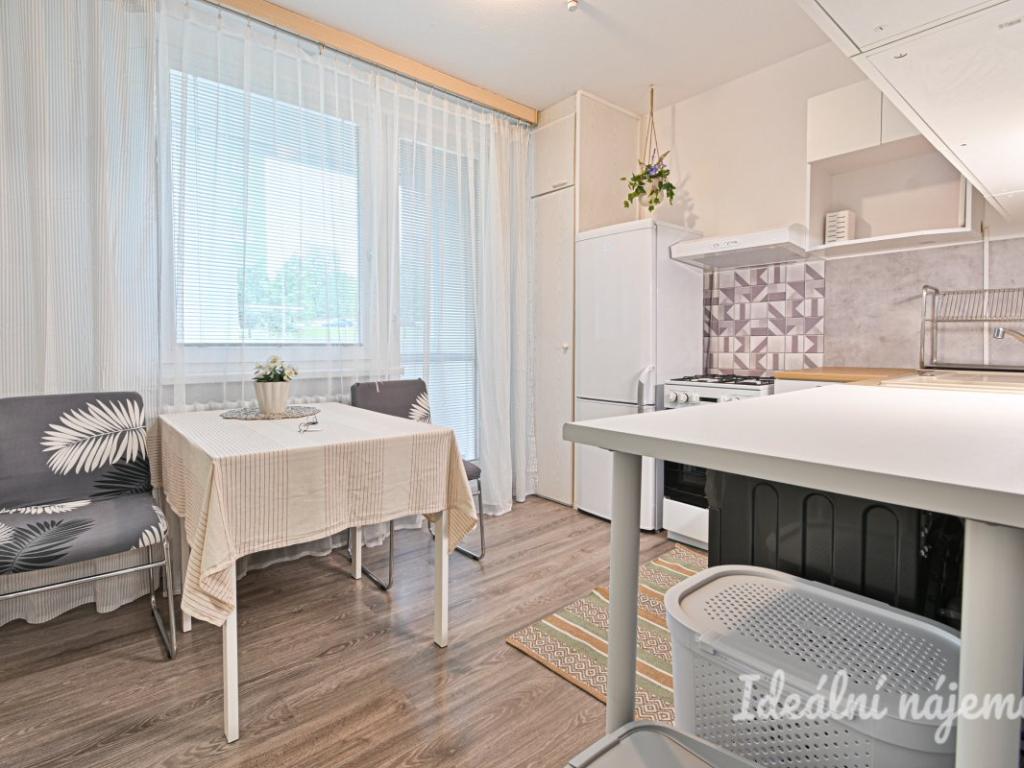 Pronájem bytu 1+1 41 m2