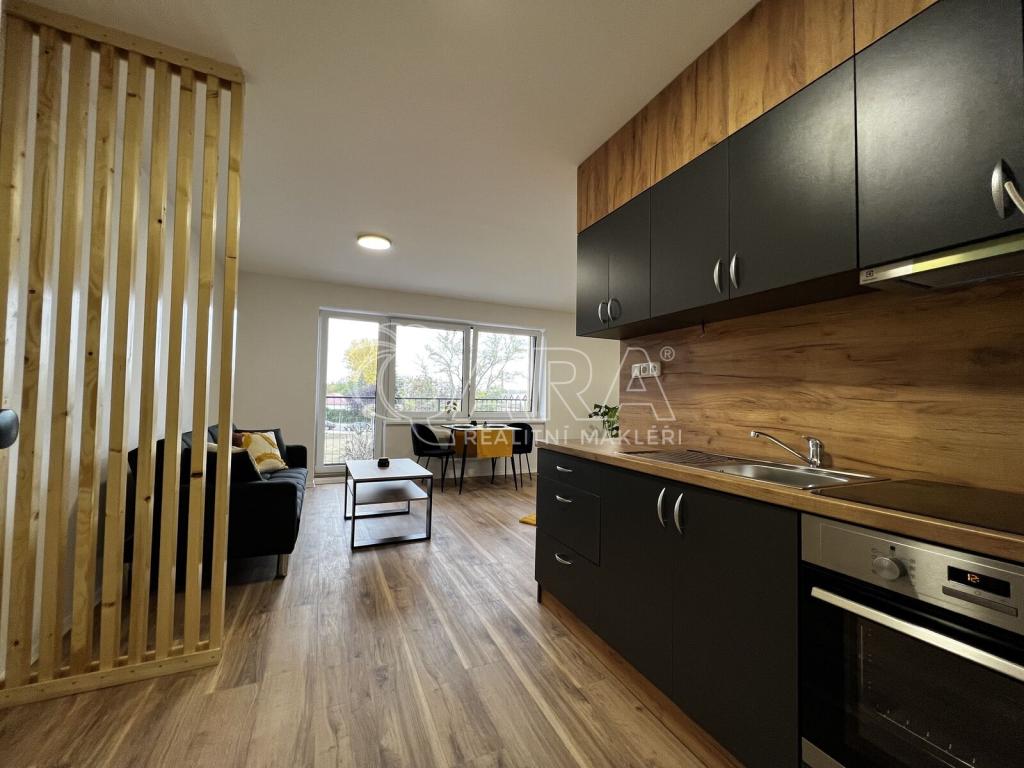 Pronájem bytu 1+kk 31 m2