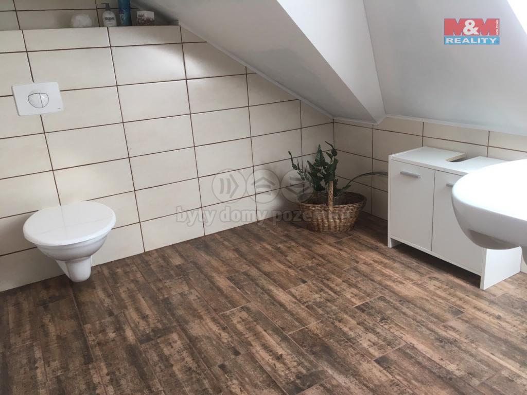 Pronajem bytu dům 319 m2