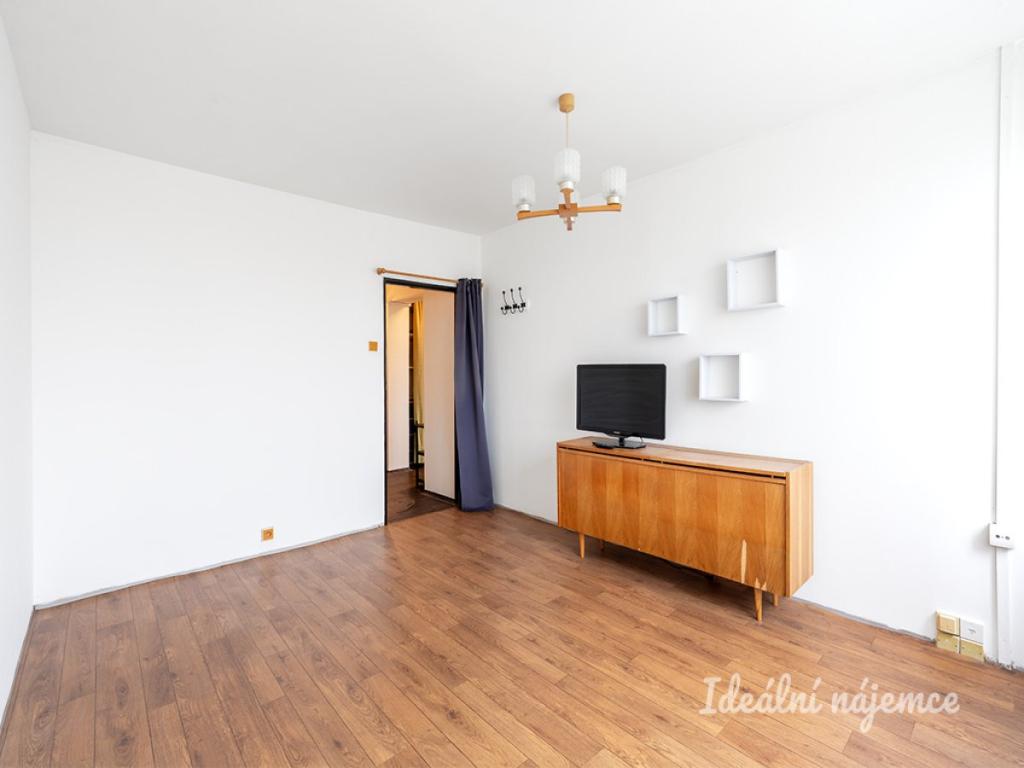 Pronájem bytu 1+1 45 m2