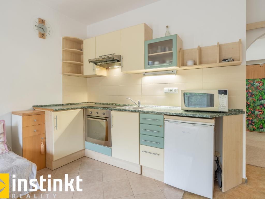 Pronájem bytu 1+kk 30 m2