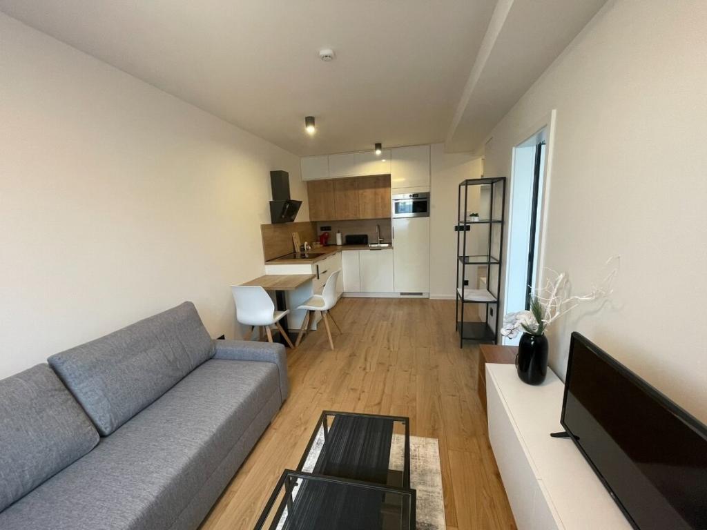 Pronájem bytu 1+1 46 m2
