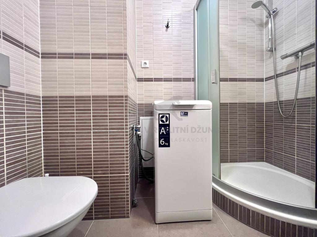 Pronájem bytu 2+kk 45 m2, Praha – náhled fotky 16