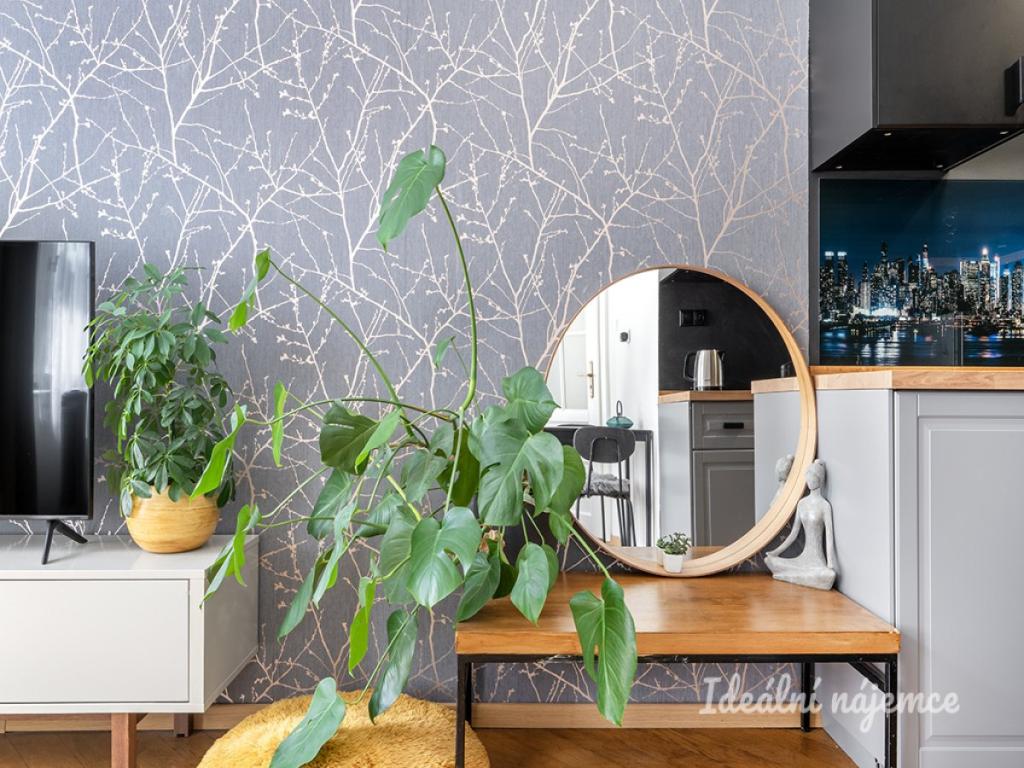 2+kk Apartment in Praha, Josefov - More