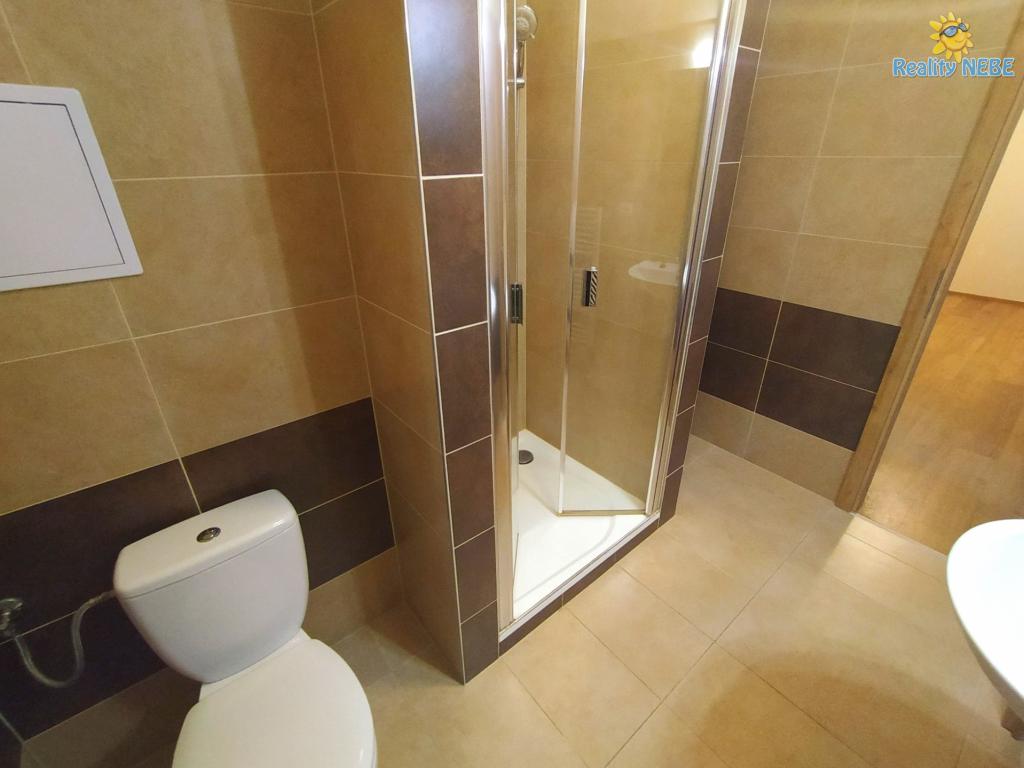 Pronájem bytu 1+kk 59 m2
