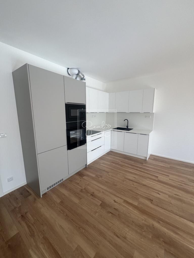 Pronájem bytu 1+kk 54 m2