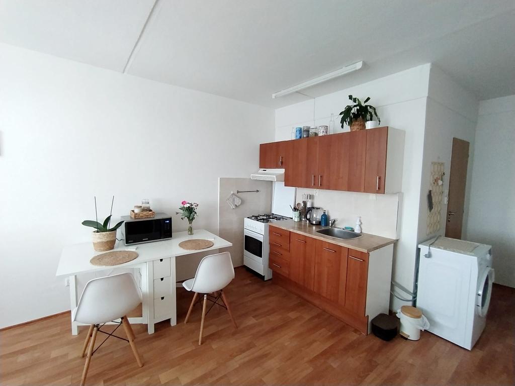 Pronajem bytu 2+kk 47 m2