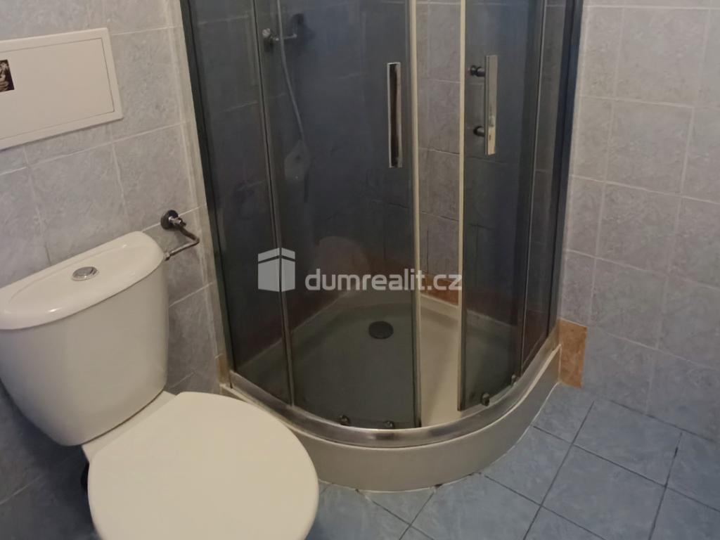 Pronájem bytu 1+1 44 m2