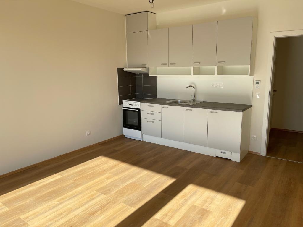 Pronájem bytu 2+kk 55 m2