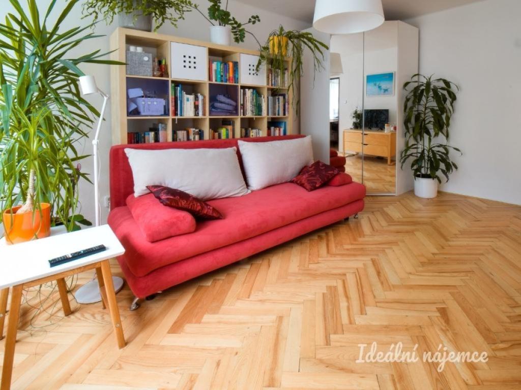 Pronájem bytu 1+1 25 m2