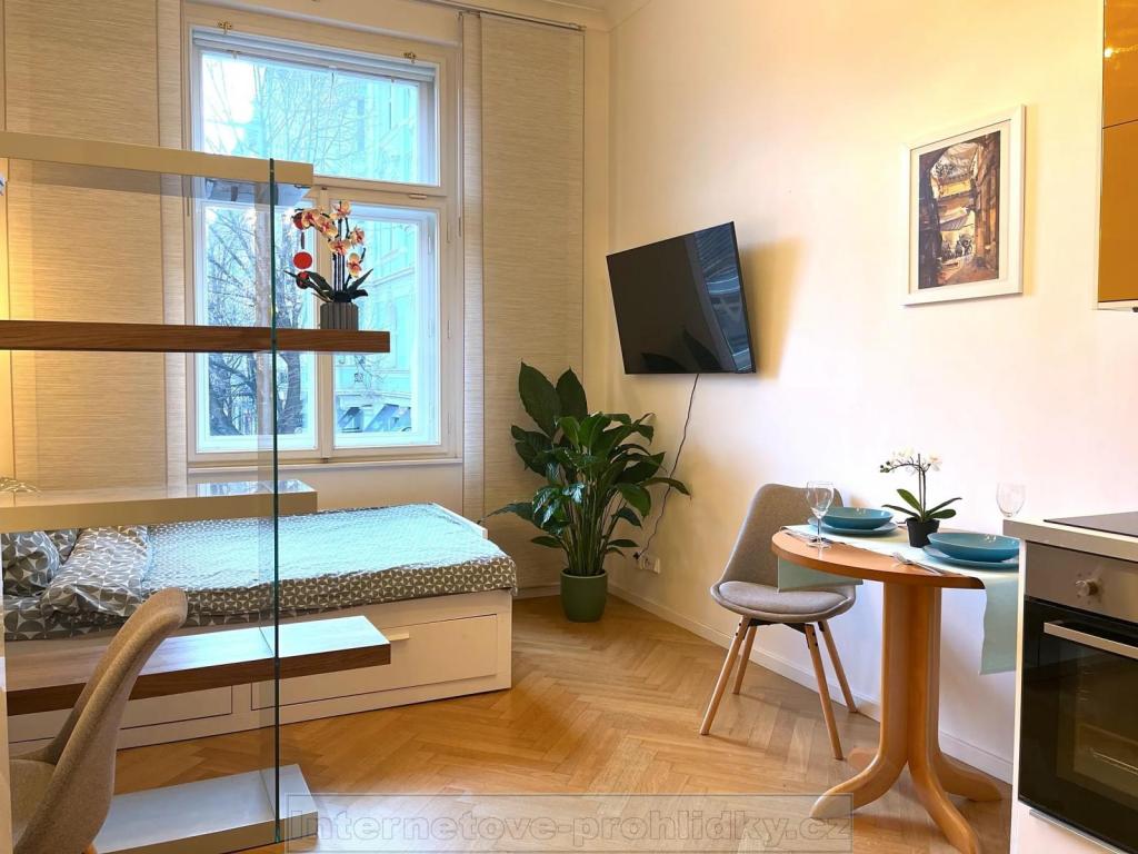 Pronájem bytu 1+kk 23 m2
