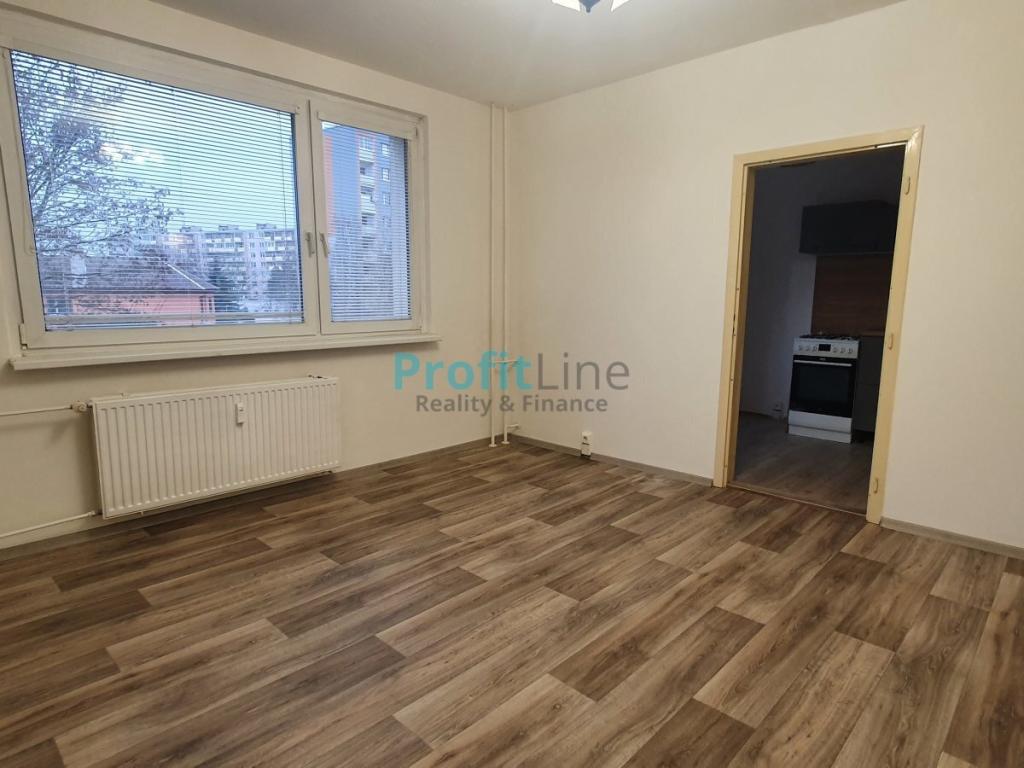 Pronajem bytu 2+1 45 m2